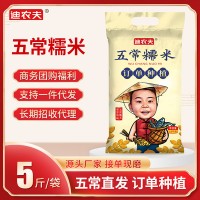 21新米五常糯米5斤裝東北大米2.5kg香粘糯米粽子米壽司米廠家批發