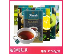 原装进口Dilmah迪尔玛锡兰红茶/绿茶 餐饮酒店客户调饮茶多种口味