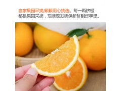 江西赣南脐橙一件代发 新鲜当季水果 橙子批发现摘现发