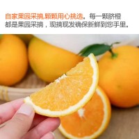 江西赣南脐橙一件代发 新鲜当季水果 橙子批发现摘现发