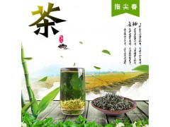 2021年春茶新茶茶叶批发散装500g四川茶清香绿茶自有茶园批发茶叶