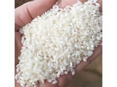 桂朝米50kg 制作米粉米糕米线肠粉用大米 厂家直销 大米 桂朝大米