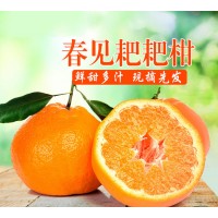 四川春见耙耙柑丑橘子新鲜水果4斤粑粑柑大果当季