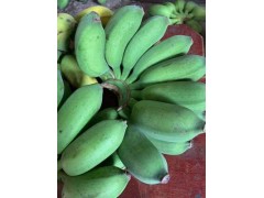 香蕉 新鲜苹果蕉红香蕉 优惠组合5斤装