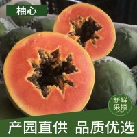 木瓜 现摘新鲜香甜青皮木瓜水果 果园一件代发红心木瓜