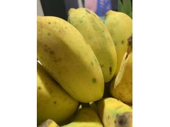 香蕉 廣西小米蕉9斤裝 新鮮水果非海南帝王蕉