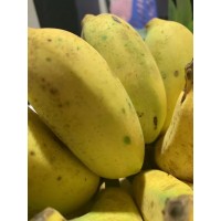 香蕉 广西小米蕉9斤装 新鲜水果非海南帝王蕉