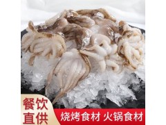 一件代发鲜活冷冻打花小章鱼水产海鲜食品火锅料理食材小章鱼批发
