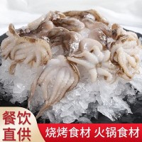 一件代发鲜活冷冻打花小章鱼水产海鲜食品火锅料理食材小章鱼批发