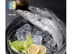 仙缘国产海鲜 东海带鱼礼盒4kg（7-10两/条）冷冻水产 南通特产