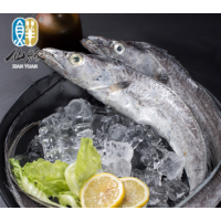 仙缘国产海鲜 东海带鱼礼盒4kg（7-10两/条）冷冻水产 南通特产