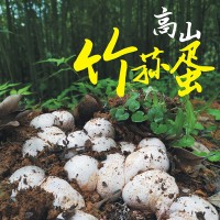 新鲜竹荪蛋 川东土特产 特产供应餐饮生鲜食用菌