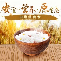 广东大米丝苗米中隆丝苗米海丰油粘米5kg2020长粒香新米
