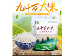 源头厂家批发九千万大米鸭田稻米2.5kg/袋大米零售批发贴牌OEM