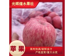 整箱批发洛川苹果红富士苹果应季新鲜水果皮薄多汁冰糖心苹果