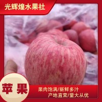 整箱批发洛川苹果红富士苹果应季新鲜水果皮薄多汁冰糖心苹果
