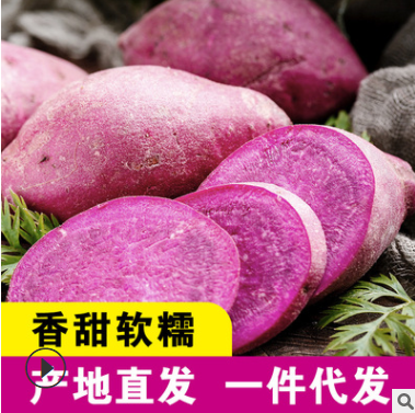 一件代发 现挖现货 山东紫薯 新鲜当季蔬菜粗粮香甜软糯 紫心番薯