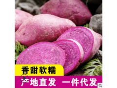 一件代发 现挖现货 山东紫薯 新鲜当季蔬菜粗粮香甜软糯 紫心番薯