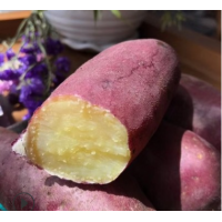 10斤装 海南澄迈桥头富硒农家蔬菜地瓜 板栗薯新鲜 红薯一件代批