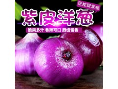 2021年新鮮紫紅皮洋蔥圓蔥產地現挖現發新鮮蔬菜支持一件代發批發