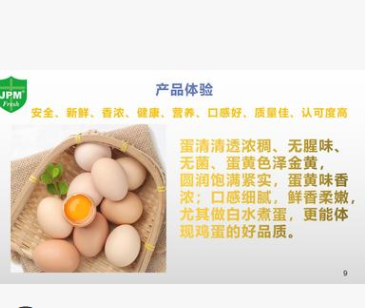 批發出口三同標準優質新鮮雞蛋360枚不併價只併十大優勢六大體驗