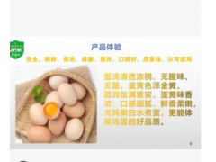 批发出口三同标准优质新鲜鸡蛋360枚不併价只併十大优势六大体验