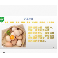 批发出口三同标准优质新鲜鸡蛋360枚不併价只併十大优势六大体验