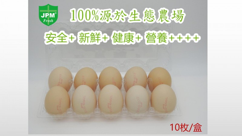 供港ECO-EGG 雞蛋A級JPM清潔新鮮10枚谷物營養無抗生素生