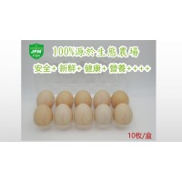 供港ECO-EGG 鸡蛋A级JPM清洁新鲜10枚谷物营养无抗生素生