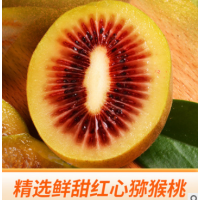 广西乐业红心猕猴桃果园现摘当季新鲜水果奇异果经济装一件代发