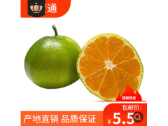 云南青皮蜜桔當季新鮮桔子2/5斤酸甜孕婦水果橘子基地一件代發
