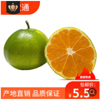 云南青皮蜜桔当季新鲜桔子2/5斤酸甜孕妇水果橘子基地一件代发