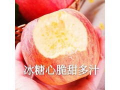 【產地貨源】山西紅富士蘋果 新鮮冰糖心蘋果 10斤 水果一件代發