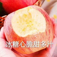 【产地货源】山西红富士苹果 新鲜冰糖心苹果 10斤 水果一件代发