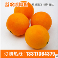 冰糖橙市场价格批发 基地直供新鲜水果冰糖橙市场价格 冰糖橙现货