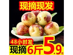 陜西大荔冬棗新鮮脆甜大棗子當季孕婦新鮮水果鮮棗2/3/6斤包郵