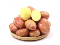 云南高原新鲜红皮土豆5斤包邮 黄心土豆 个头2-3两现挖批发