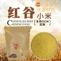 红谷小米支持OEM优良小米厂家直销月子小米