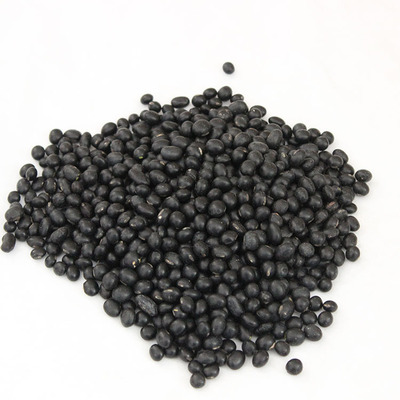 绿瓤黑豆自产自销五谷杂粮小黑豆 散装称重黑豆 黑皮25kg量大从优