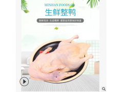 冷冻新鲜生鸭肉 樱桃谷瘦肉型白条鸭生鲜食材鲜鸭 北京烤鸭用品