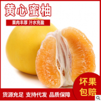 产地直发电商代发黄心柚子皮薄肉厚当季新鲜香甜多汁的黄心蜜柚