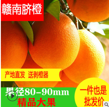 新鲜脐橙现摘赣南脐橙皮薄汁甜一件也是批发价10斤20斤代发