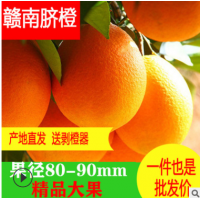 新鲜脐橙现摘赣南脐橙皮薄汁甜一件也是批发价10斤20斤代发