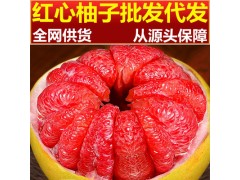 紅心柚子紅肉蜜柚源頭批發代發包郵當季福建平和琯溪新鮮水果大果