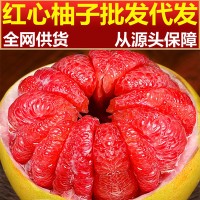 红心柚子红肉蜜柚源头批发代发包邮当季福建平和琯溪新鲜水果大果