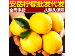 四川安岳柠檬5斤香水柠檬大果皮薄多汁现摘独立包奶茶店装尤力克