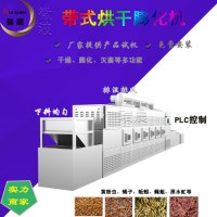 山东瑞晨 荞麦杂粮低温烘焙熟化机 24KW五谷杂粮微波焙烤杀虫设备