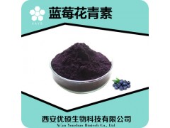 蓝莓花青素 含量50% SC证食品厂家 蓝莓提取物 蓝莓果实提取