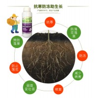 康朴保真生根剂 根多多 叶面肥含氨基酸水溶肥黄叶变绿生根粉25克