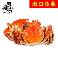 【出口企业】江苏（大闸蟹出口示范基地）速冻熟螃蟹大闸蟹 出口